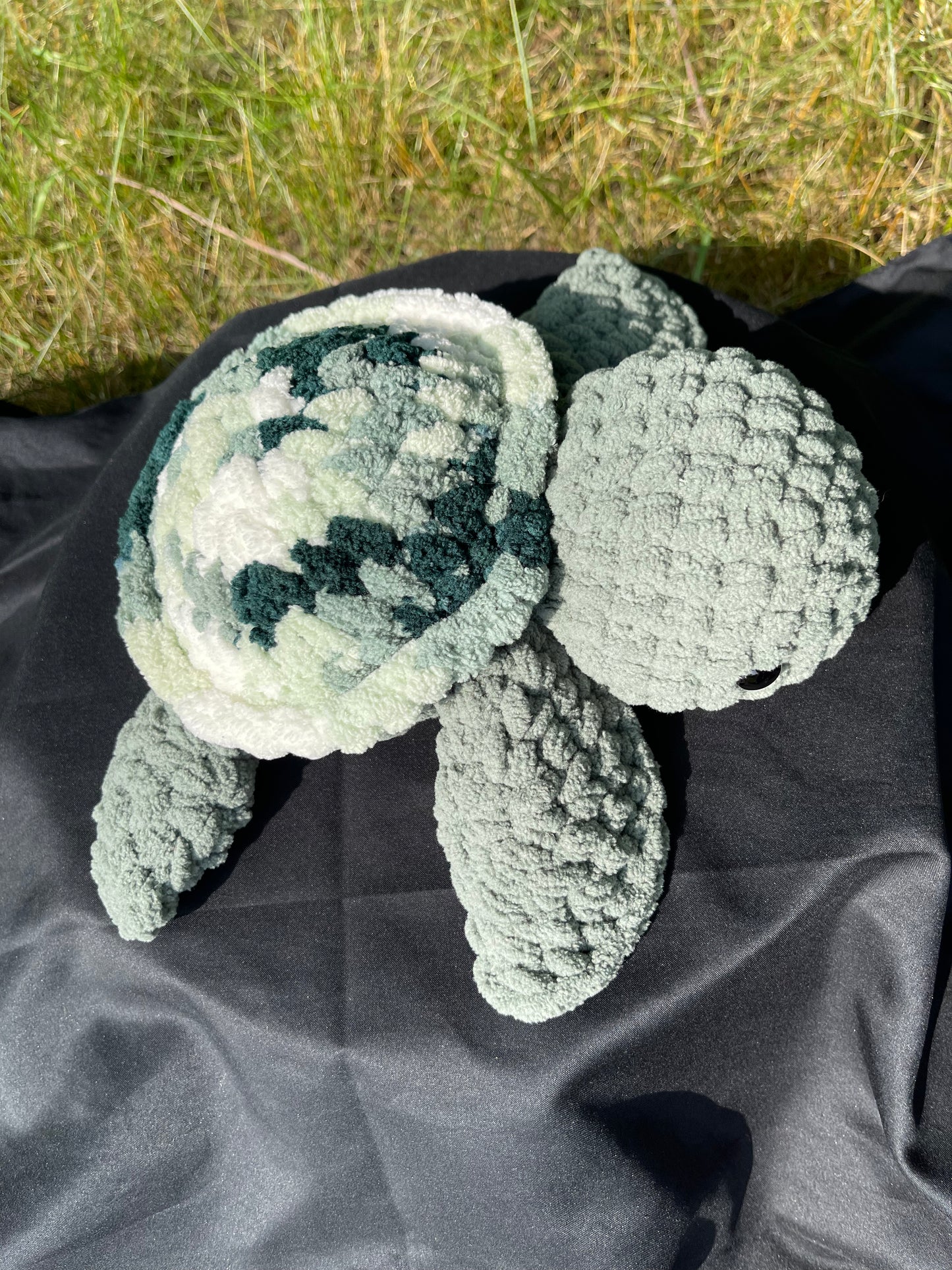 Smoky Green Sea Turtle