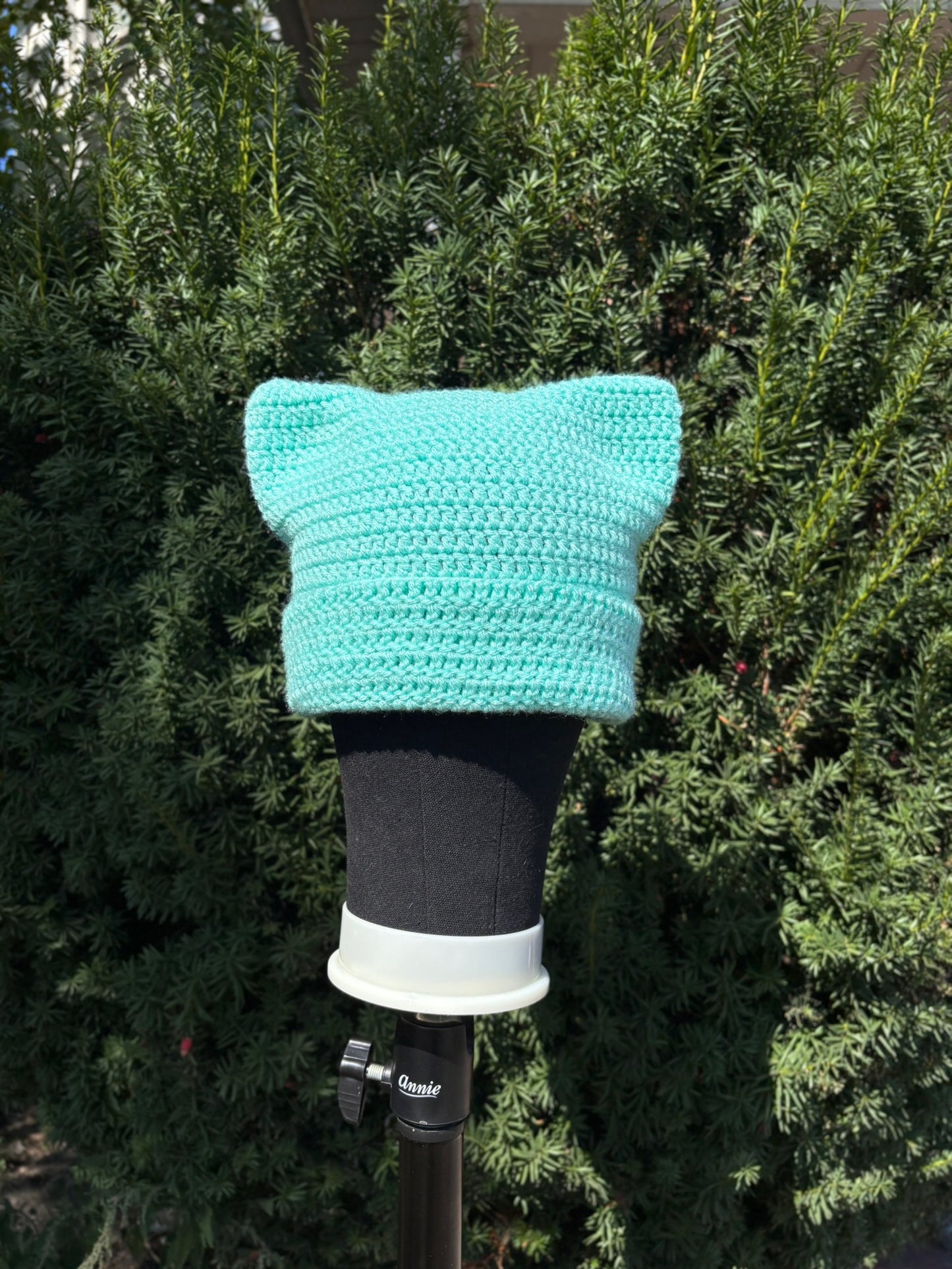 Turquoise Cat Beanie
